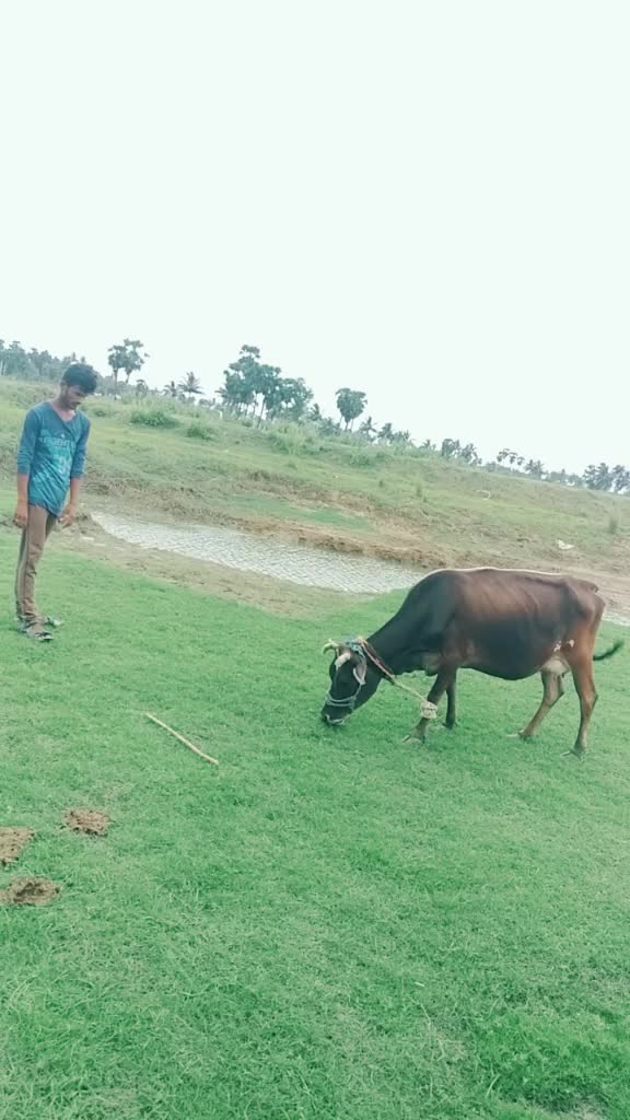 @Karthik Vallabha