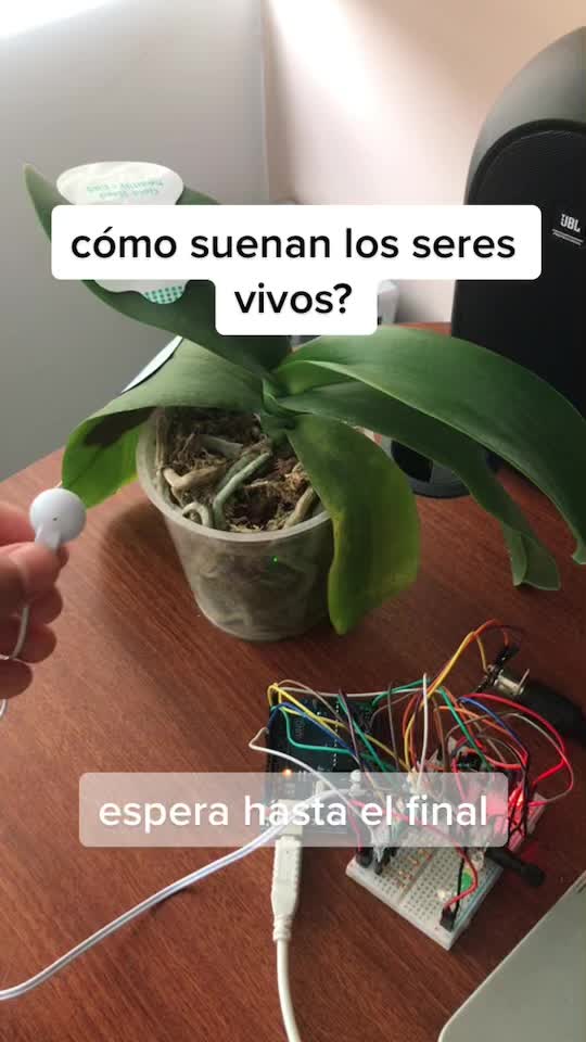 @secave