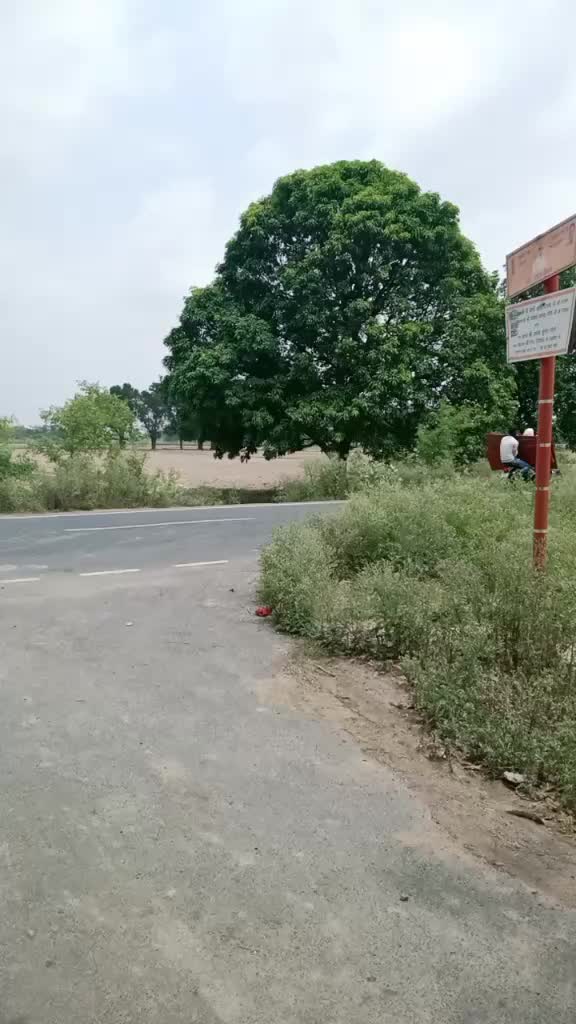 @Guddu Raja