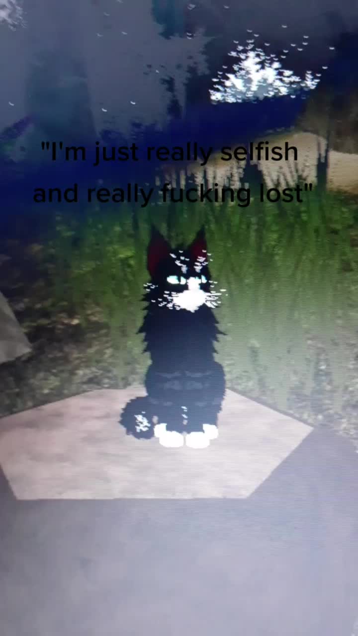 @warrior cats