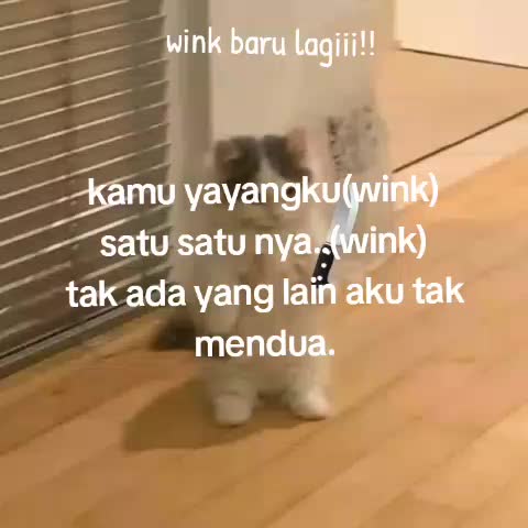 @๐๐๐๐๐๐๐๐.