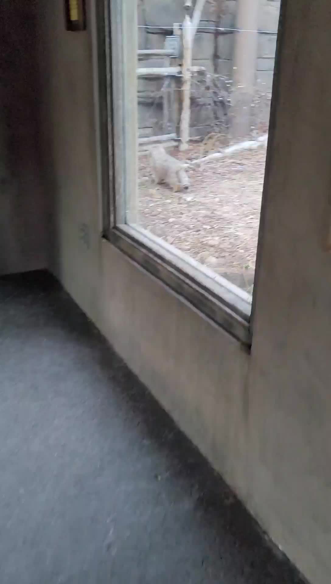 @Zookeeper Melanie