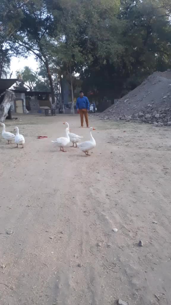 @nirajraghu1c