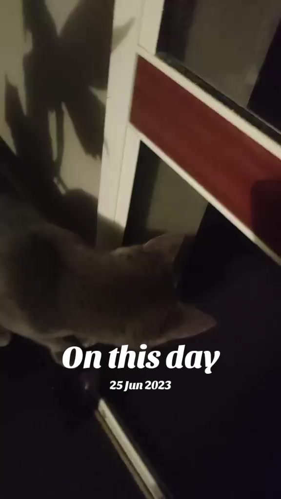 @shellyteddybear1