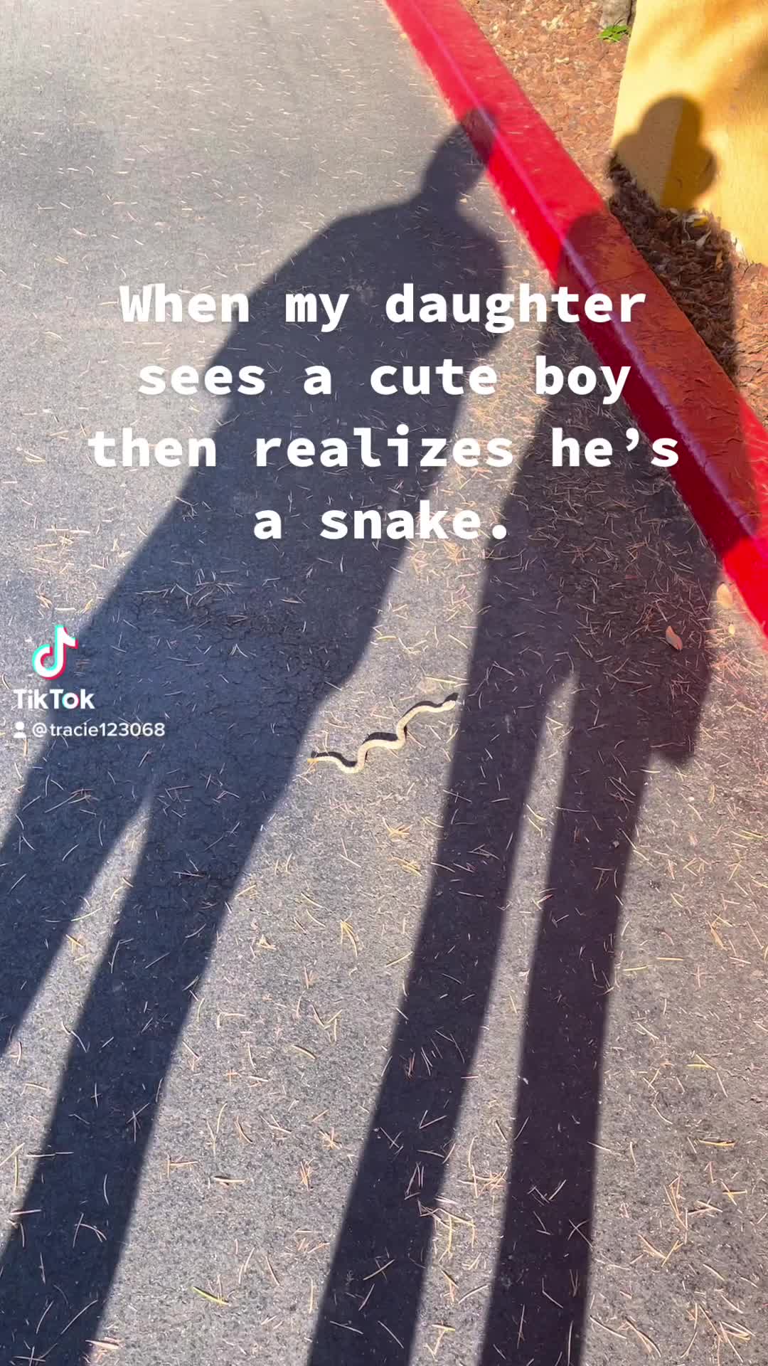 @traciebscrollin