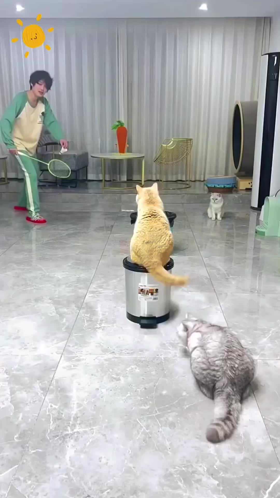 @Animal Home