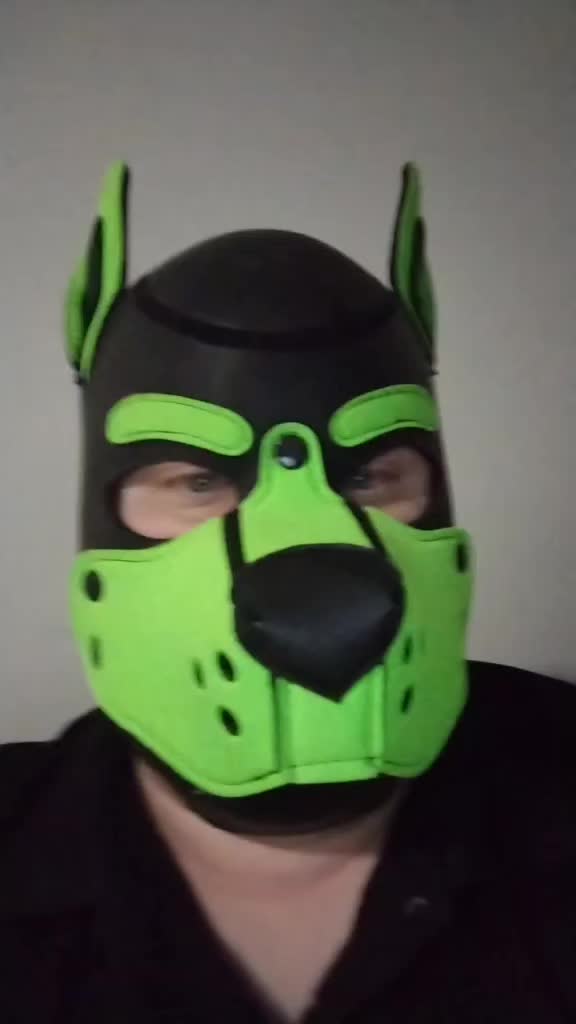 @PupNyonBlitz