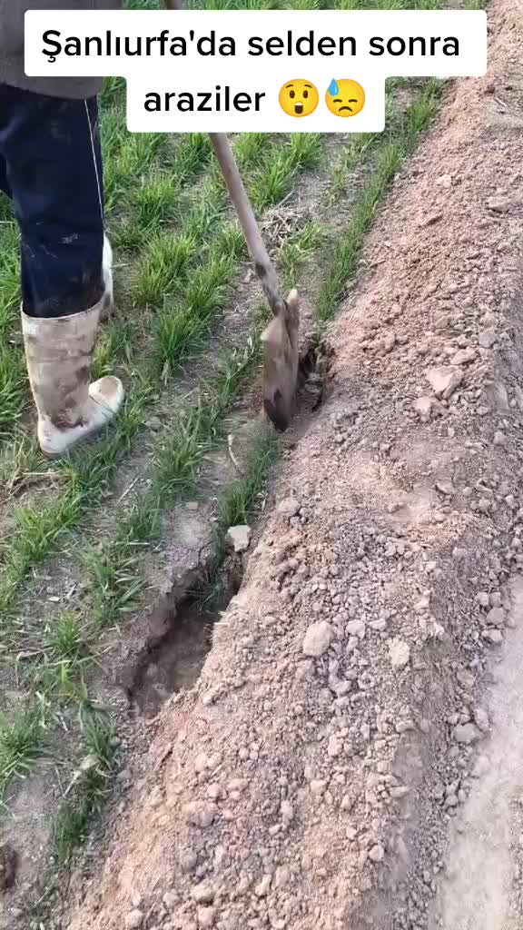 @丹CIMASIZ'๛1