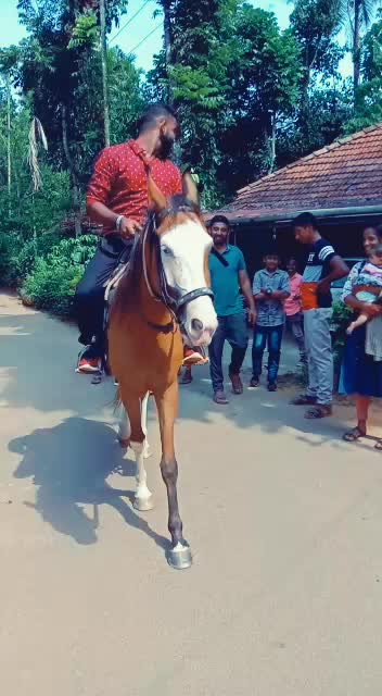 @Shamnad Chemmu