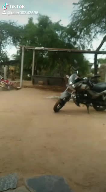 @user1168449836699