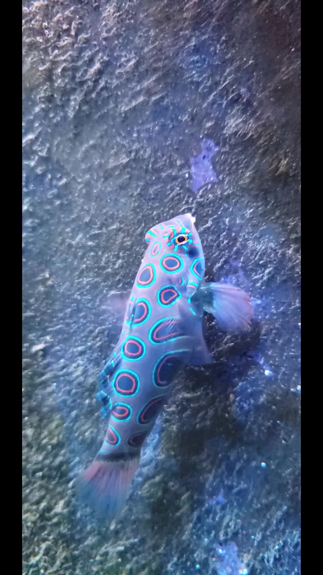 @300gallontank