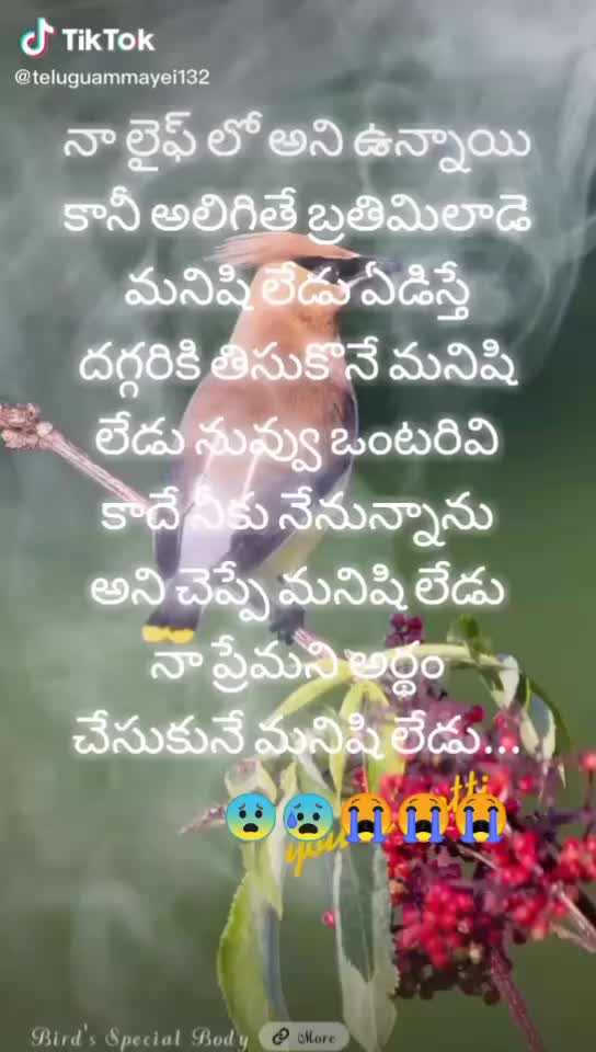 @నేను