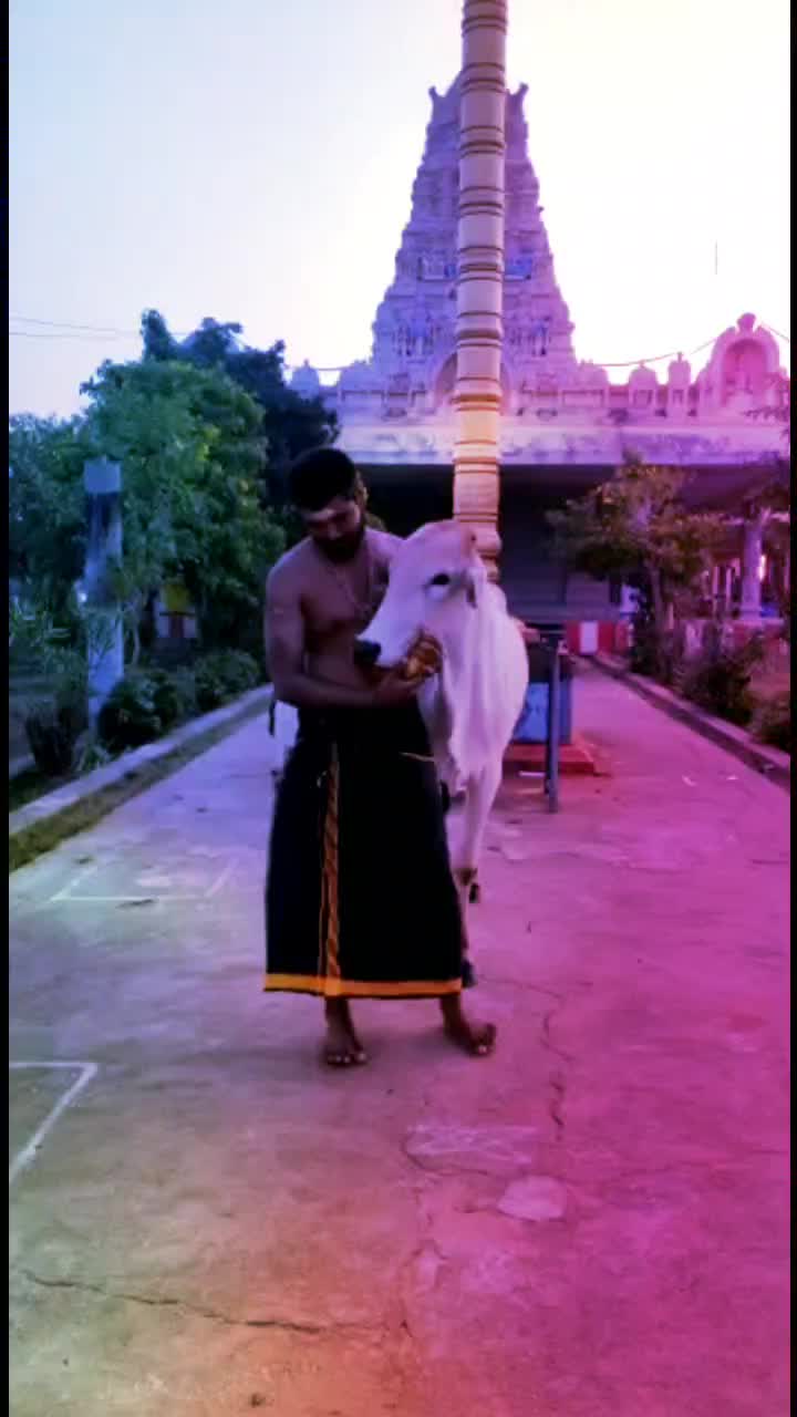@veeranji123