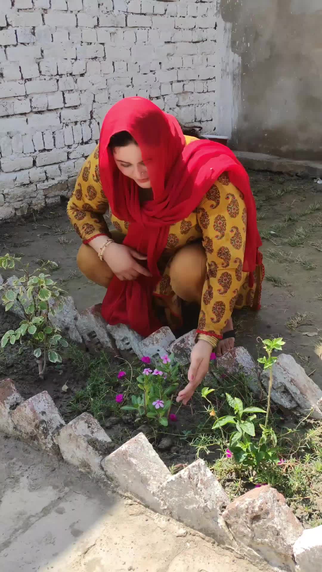 @Zoya Shoaib