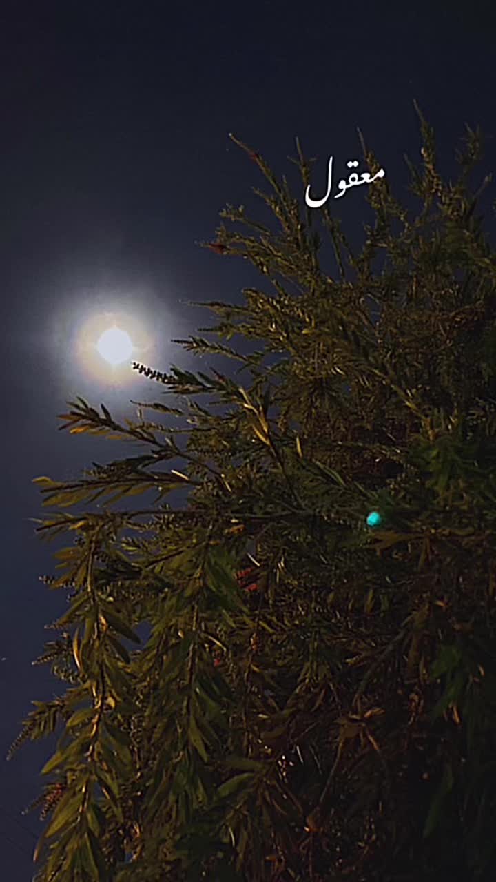 @اضحك ببلاش