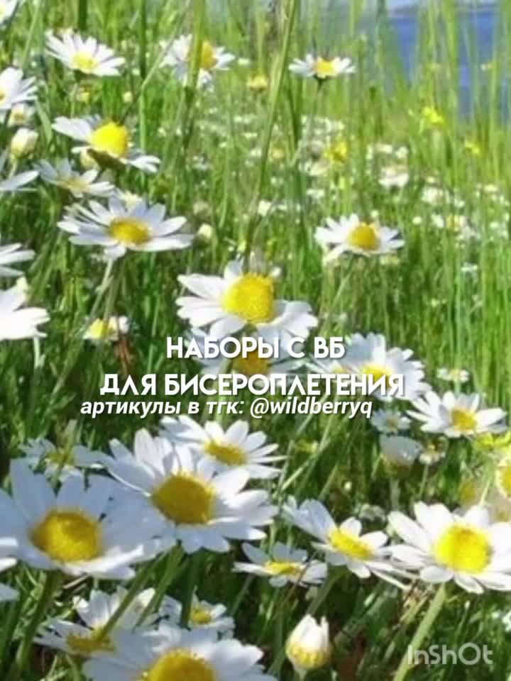 @biserinkss • Подписки