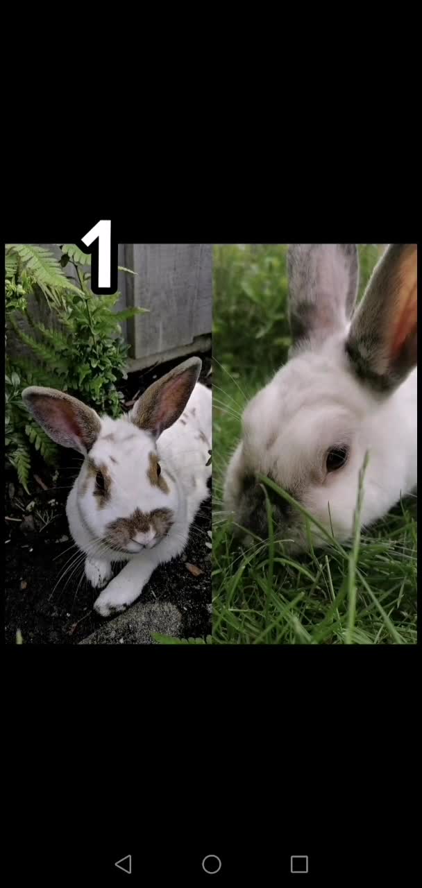 @✌︎