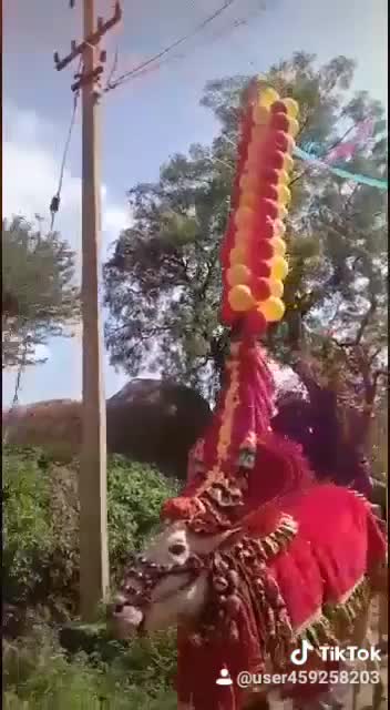 @ಹೂಸೂರು ಹುಲಿ