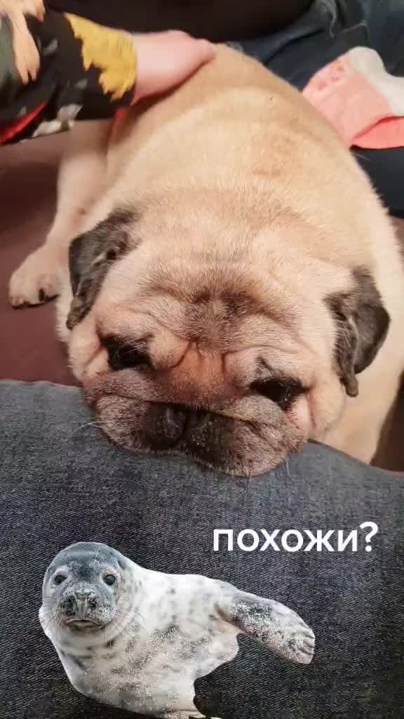 @Ольга