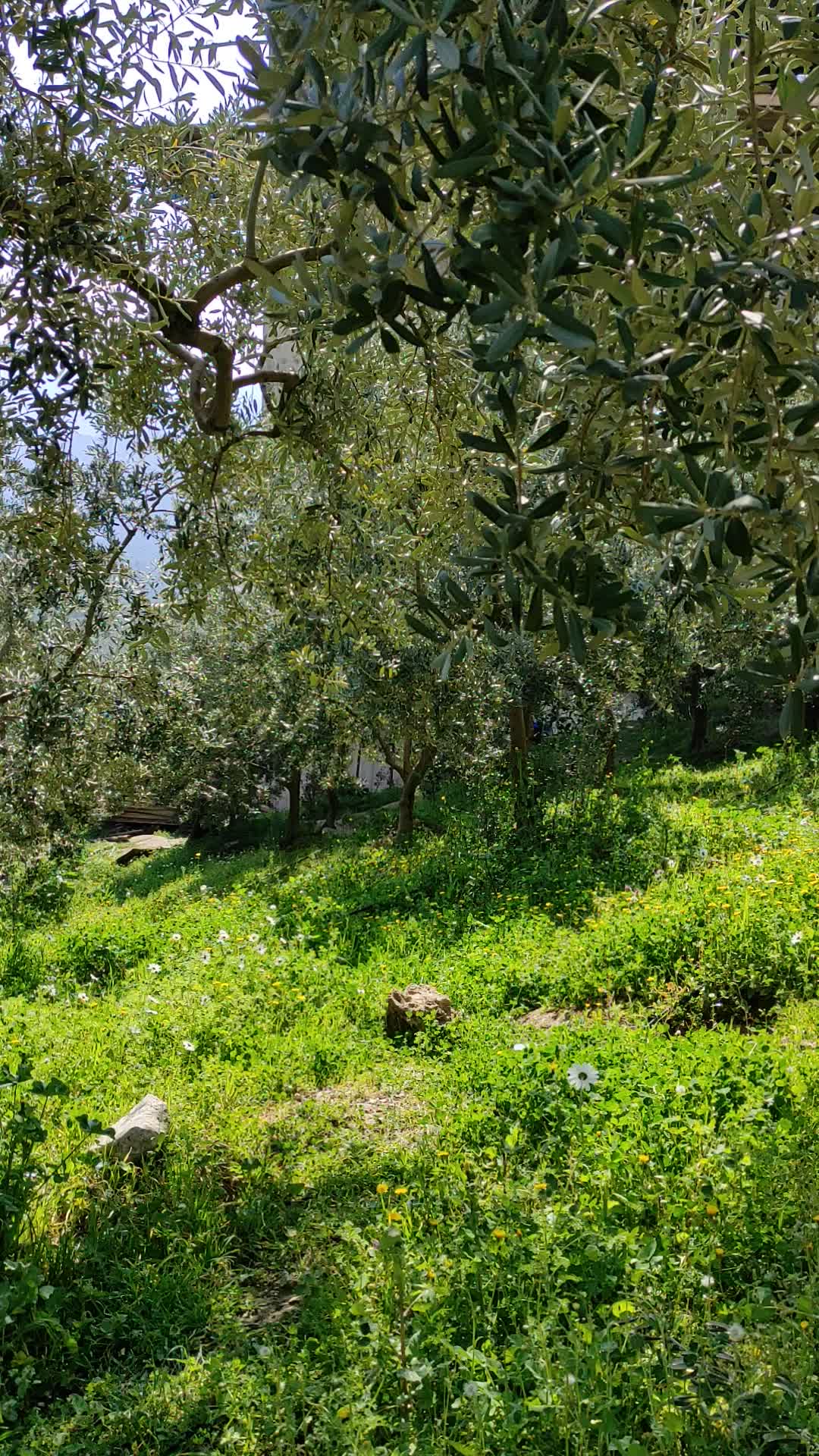 @fecri_yıldız