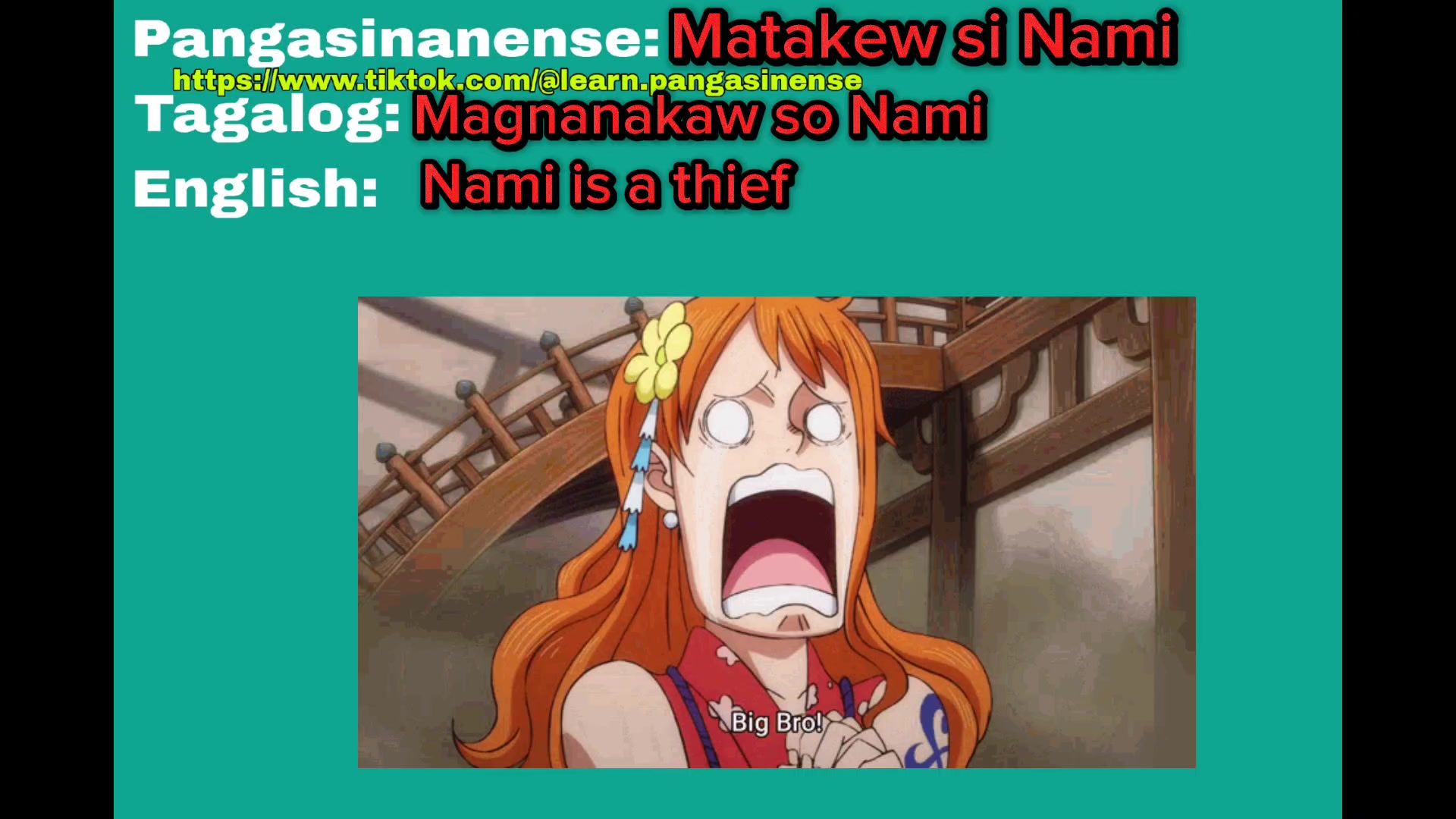 @Pangasinense Language