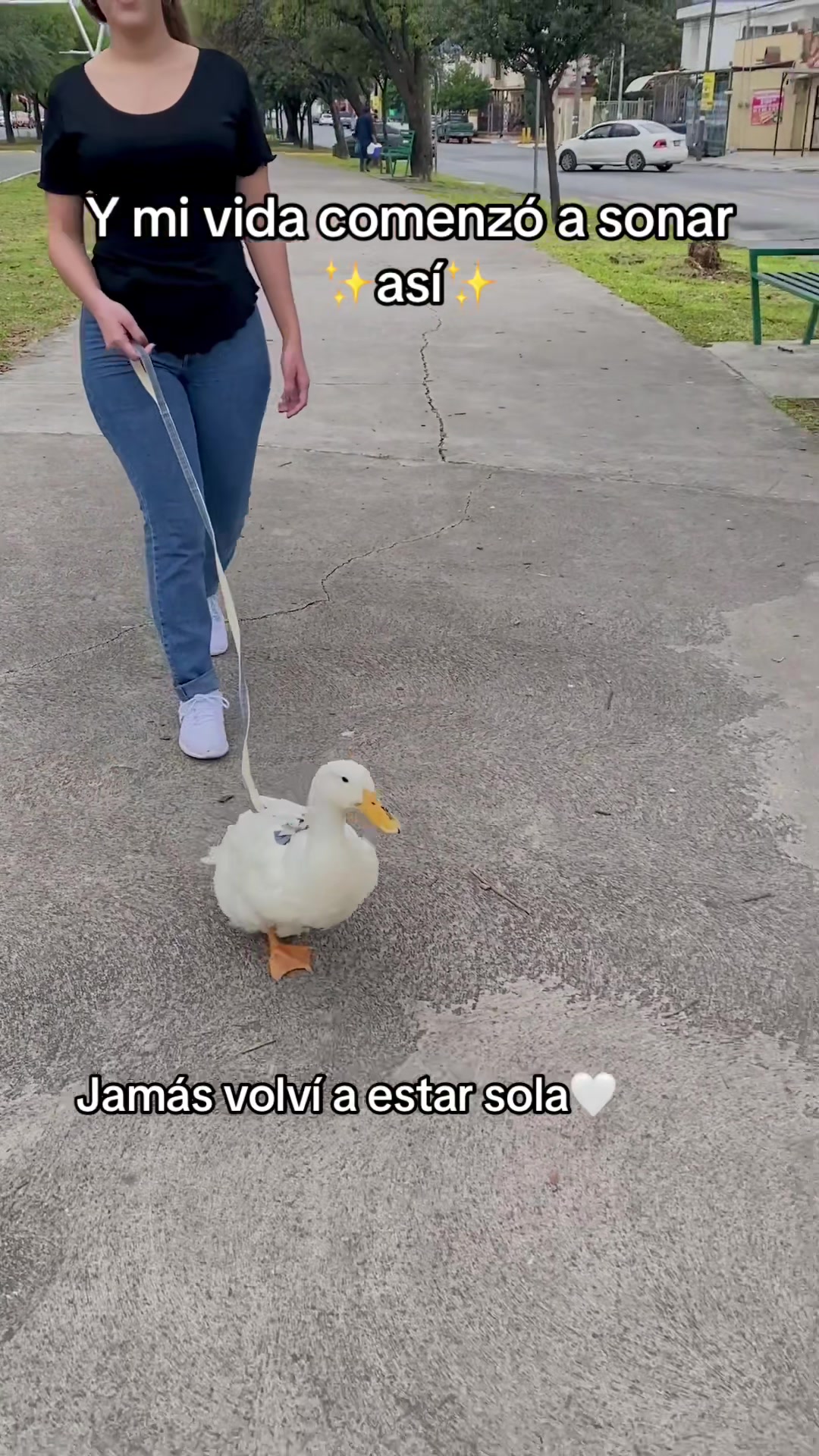 @Kbeza de 🥚