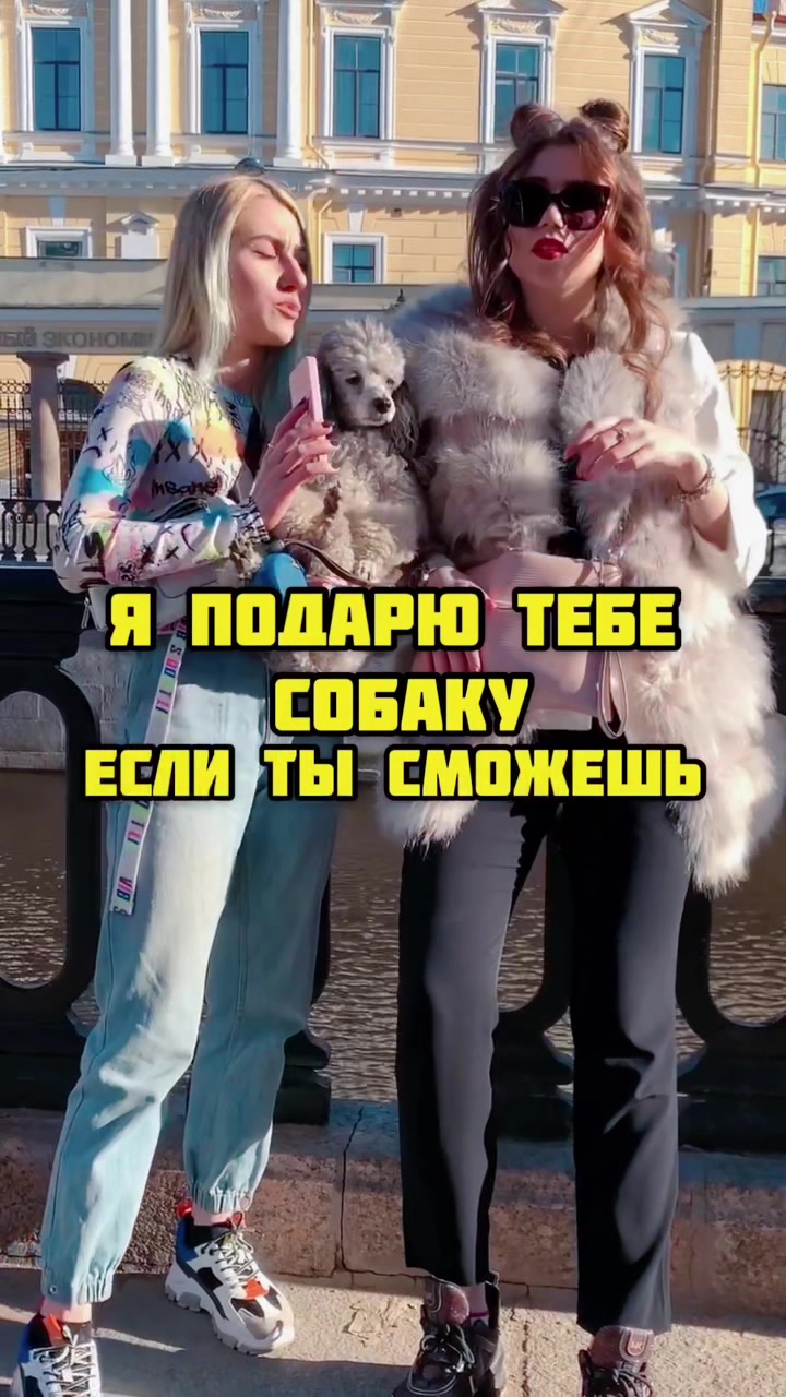 @СТЕЙСИ 🐩🧝🏼&zwj;♀️