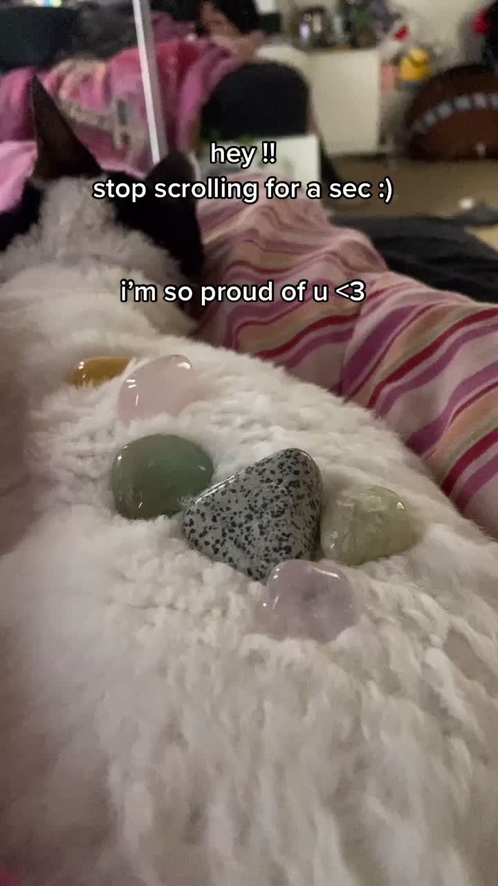 @emily 🐈⬛