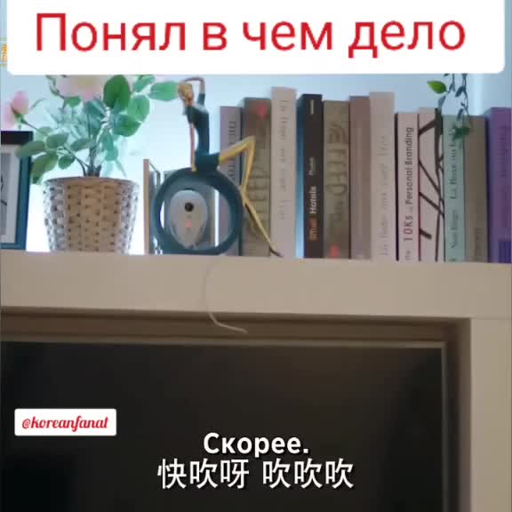 @Koreanfanat