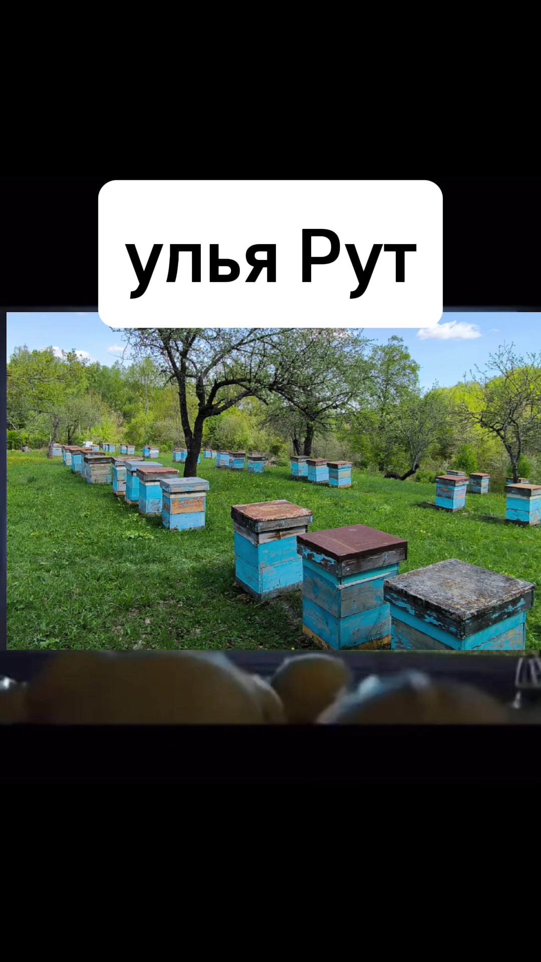 @Михаил Д&euml;ров