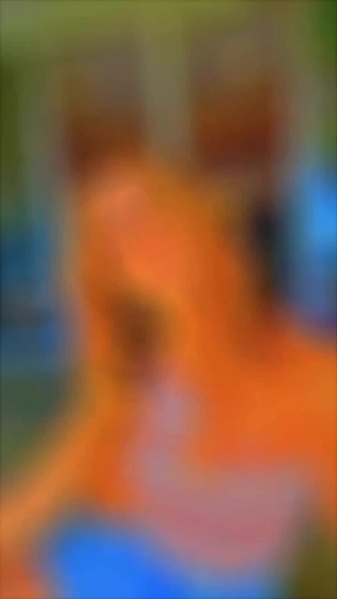 @🤍