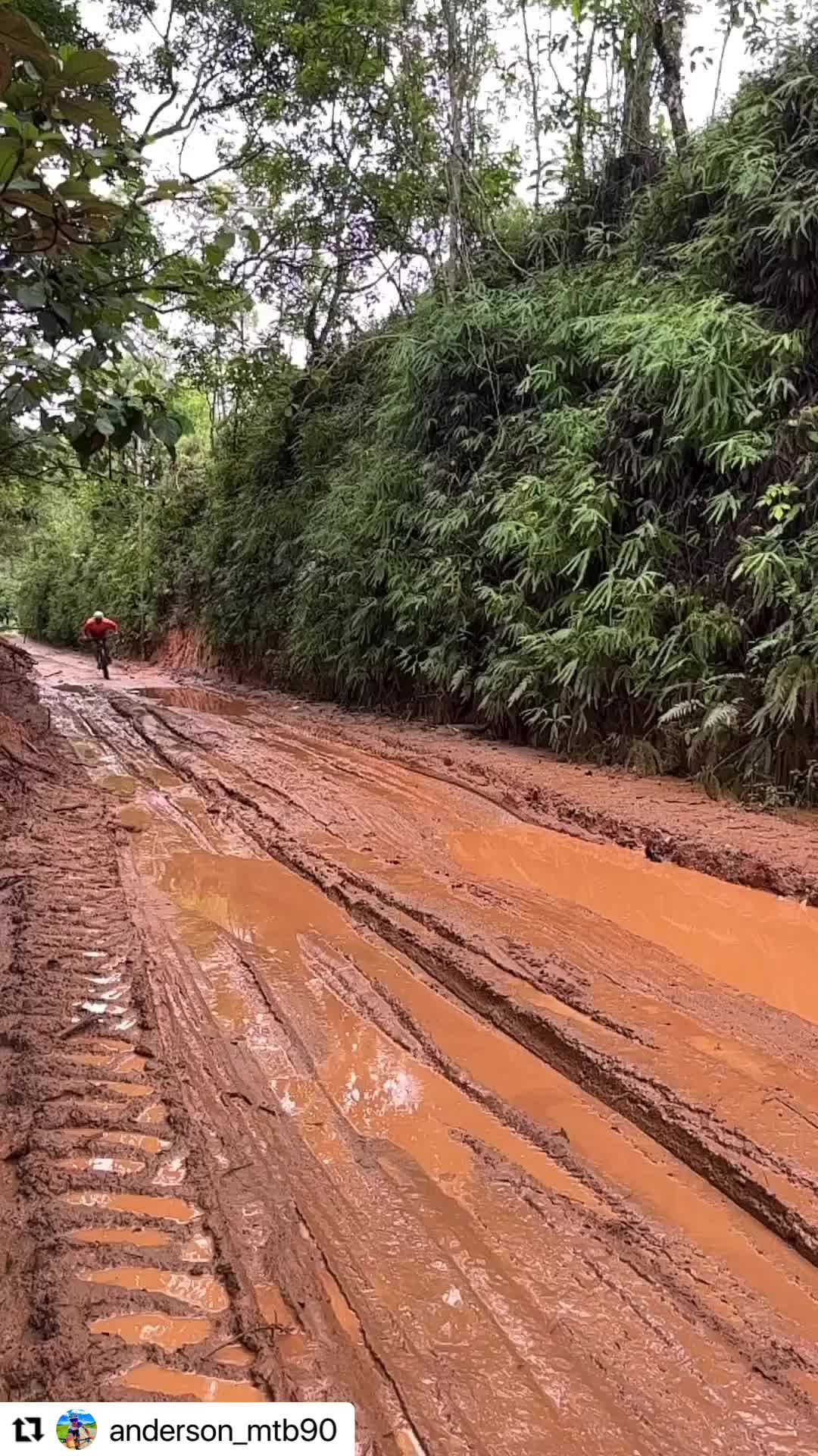 @_eupedalo