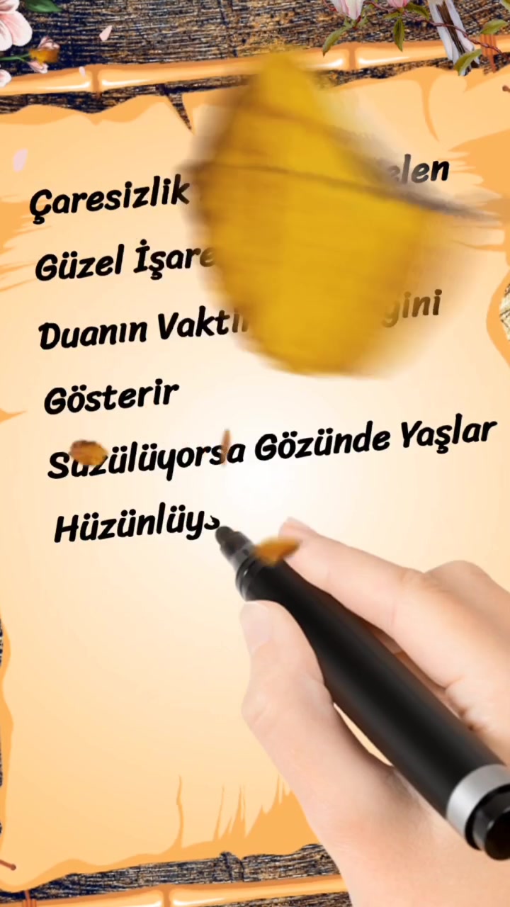 @kelebeğin d&uuml;nyası