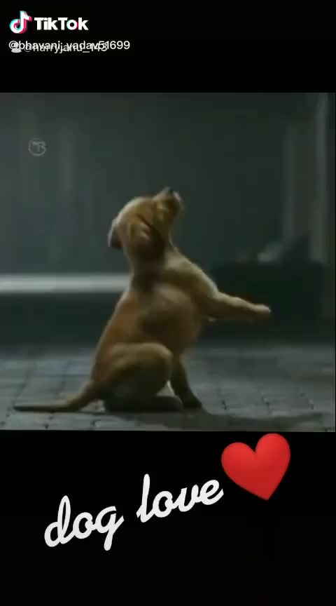 @Harryjanu
