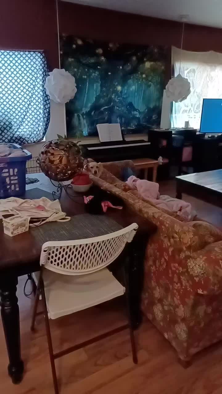 @🐅 Nixxie Bean 🐅