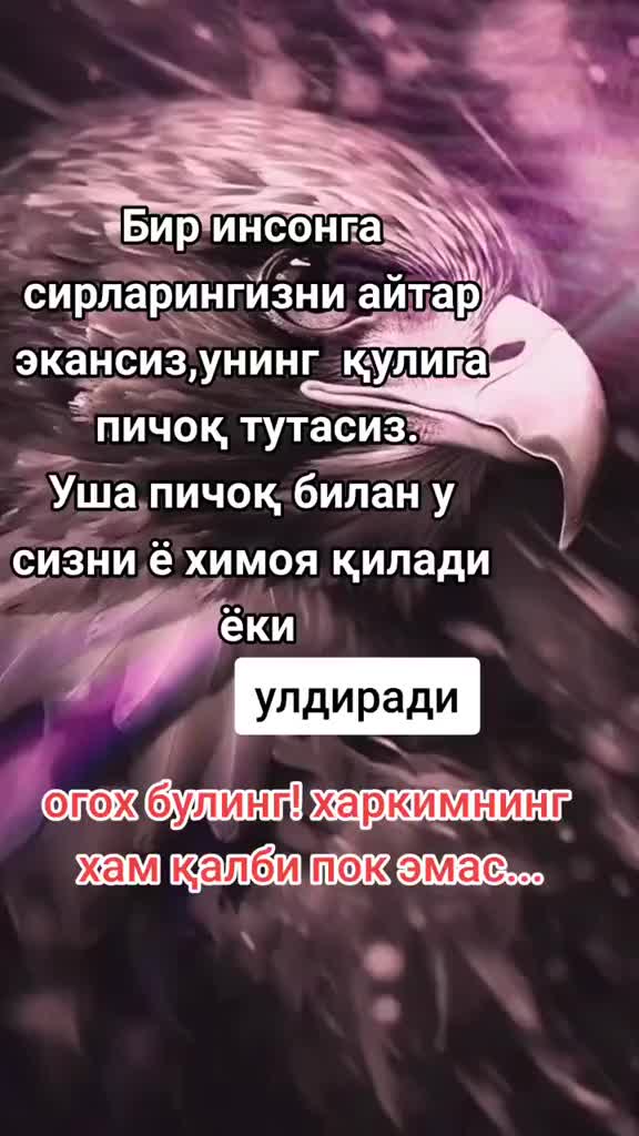 @Yunam67