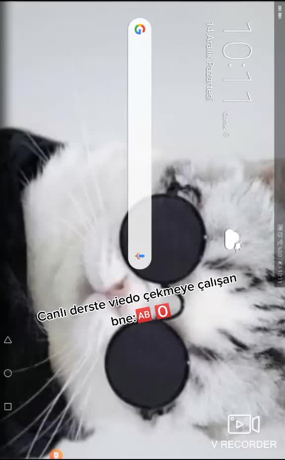 @Mustafa_bs38
