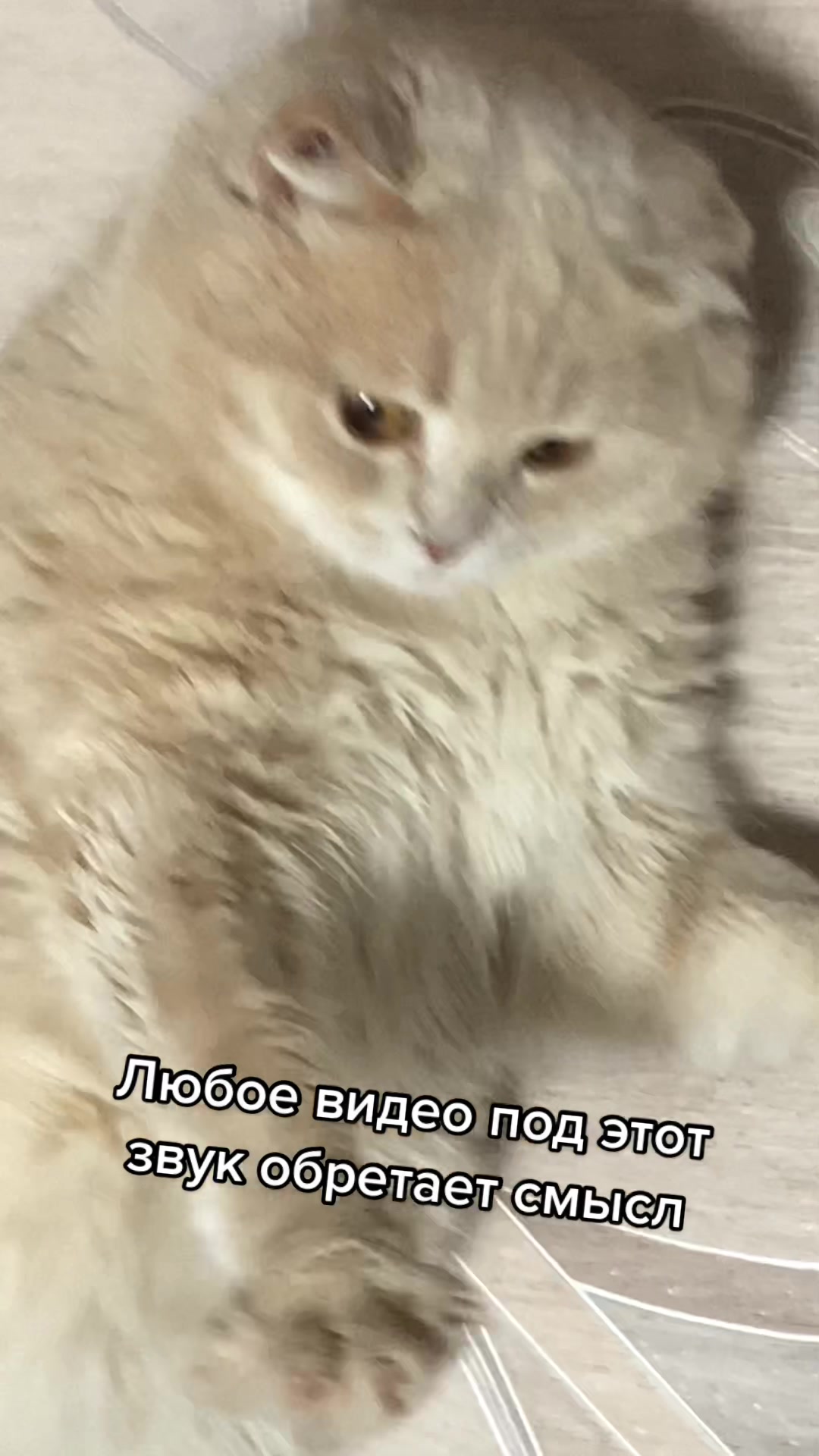 @CTNBEH