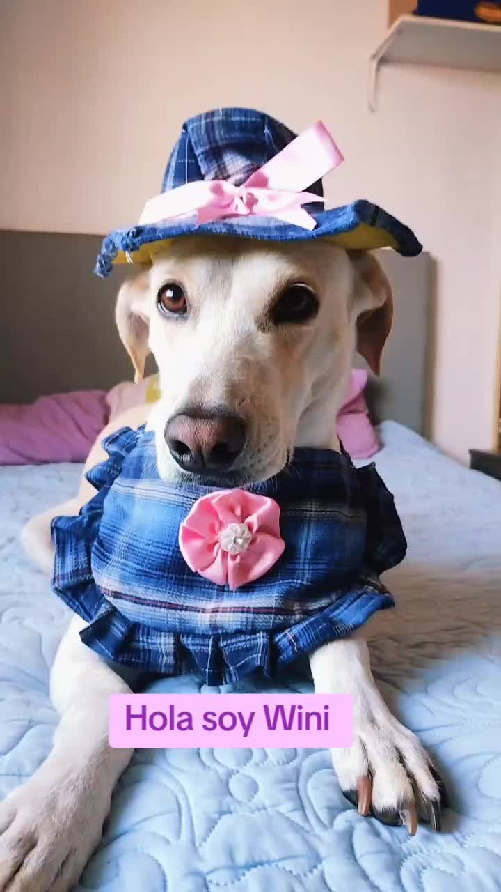 @winnie ❤🦮