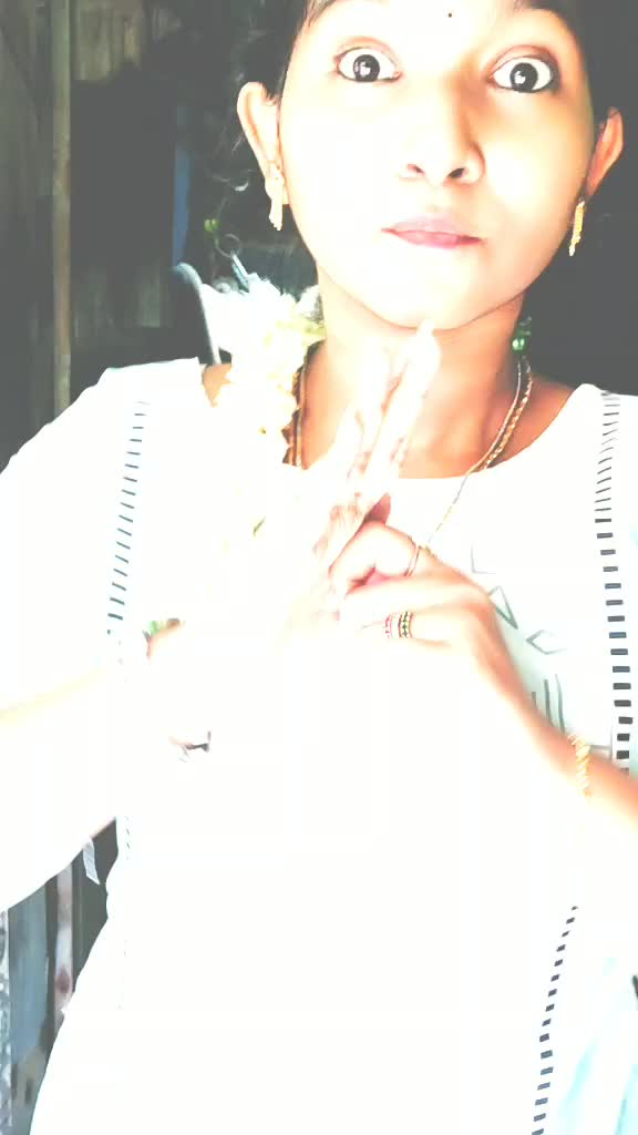 @rosevidhya
