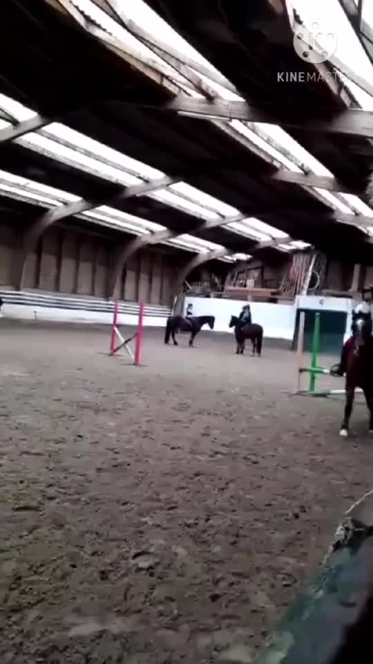 @maelys_et_todoroki