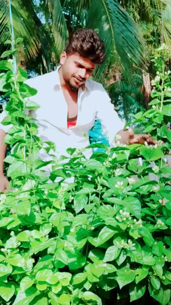 @sreedhar d boss