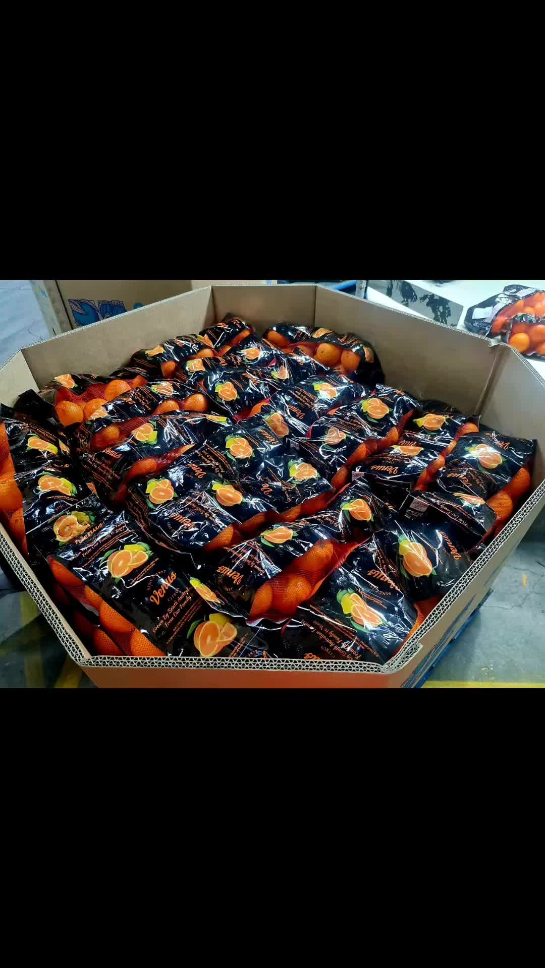 @Transfruits
