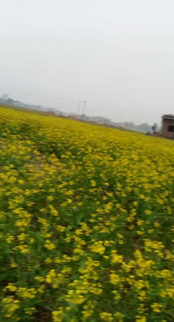 @mamtachaudhary641