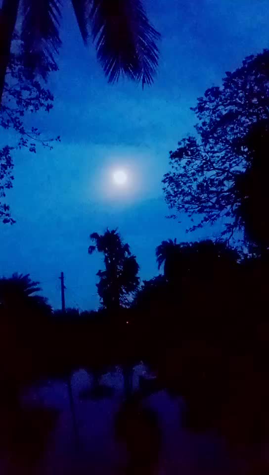 @Suryasmita jena