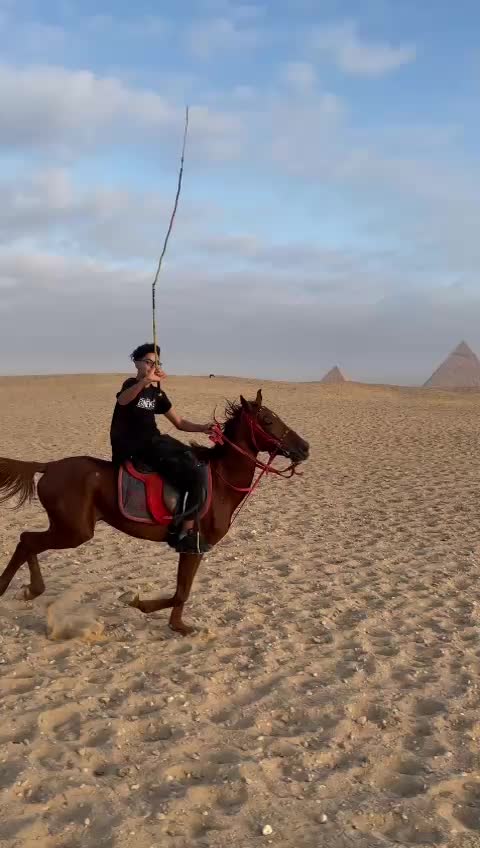 @7amodyyy