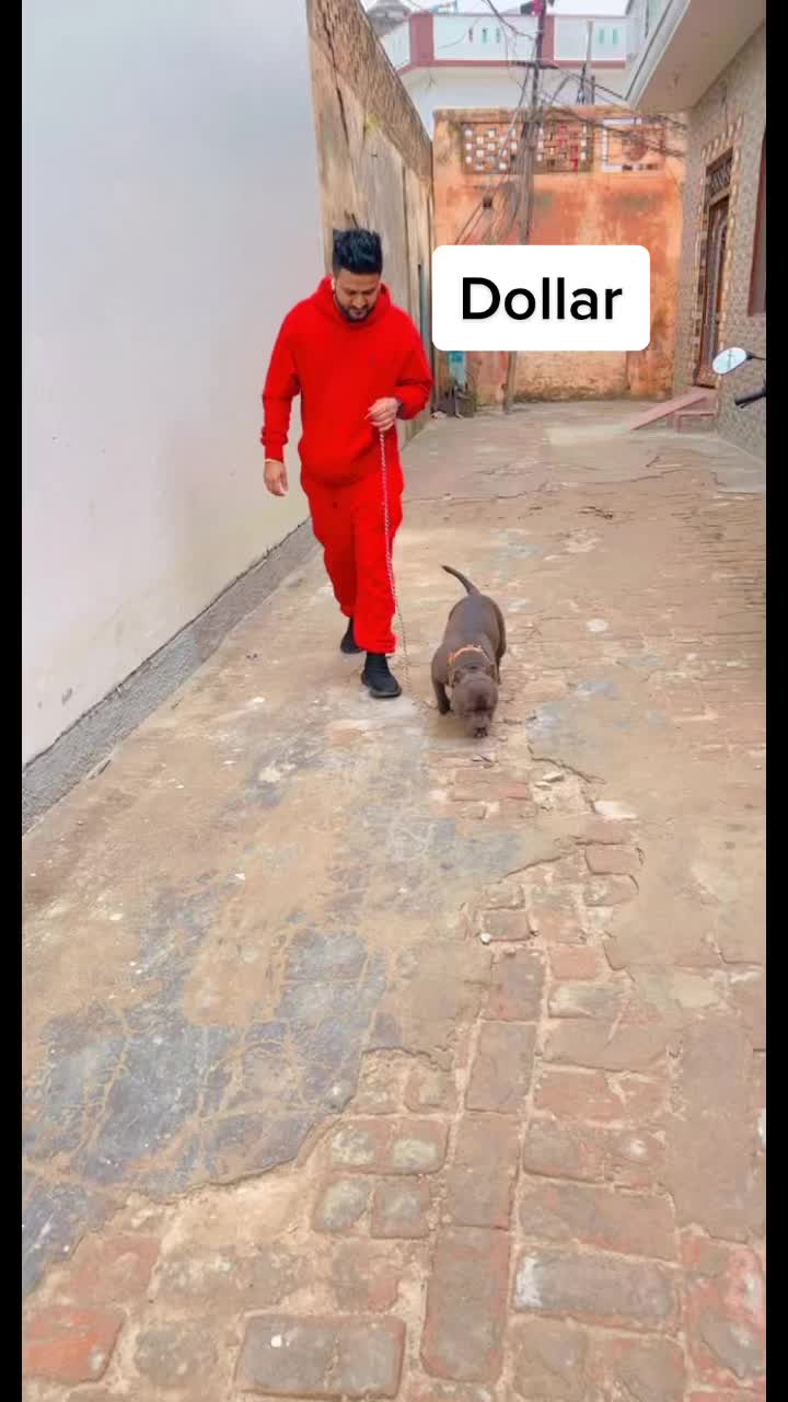 @Mandeepaujla1