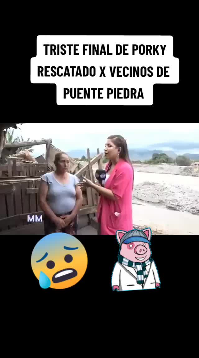 @gustavo creative