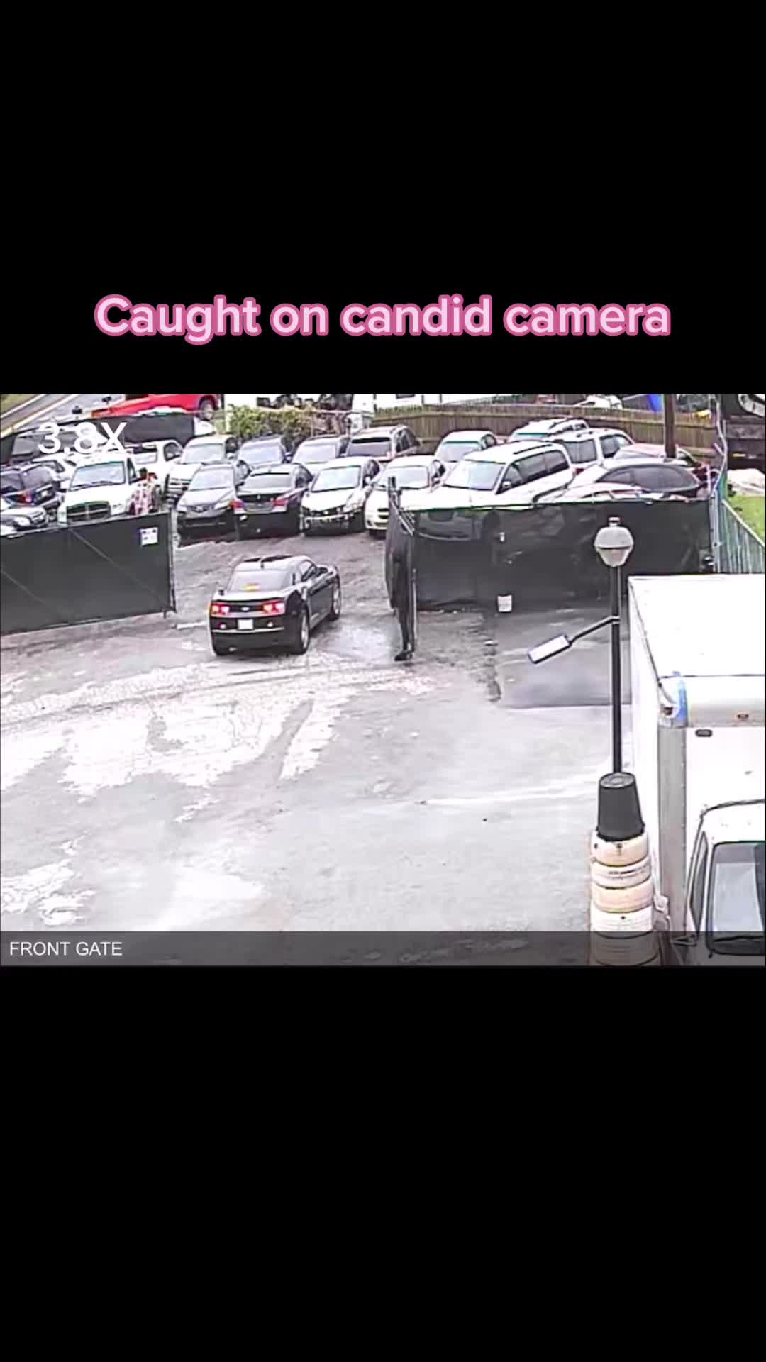 @Pink Hookers Towing