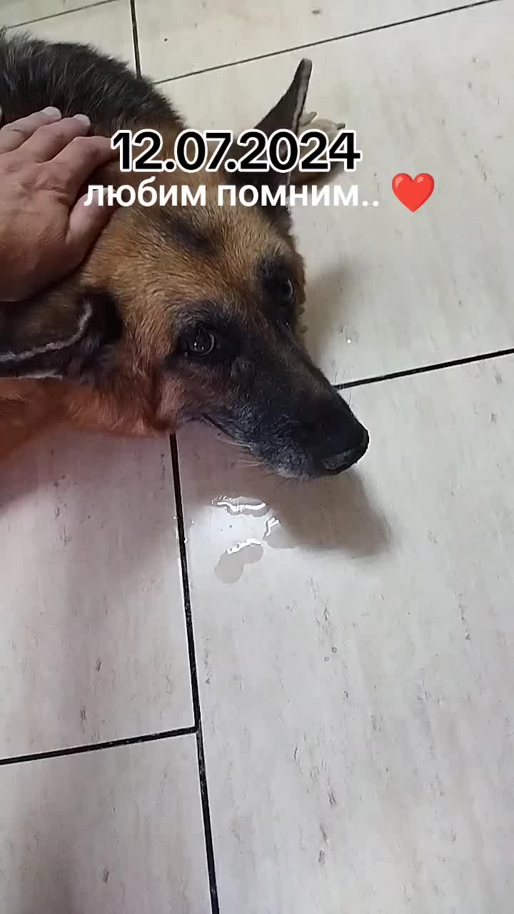 @Виталий